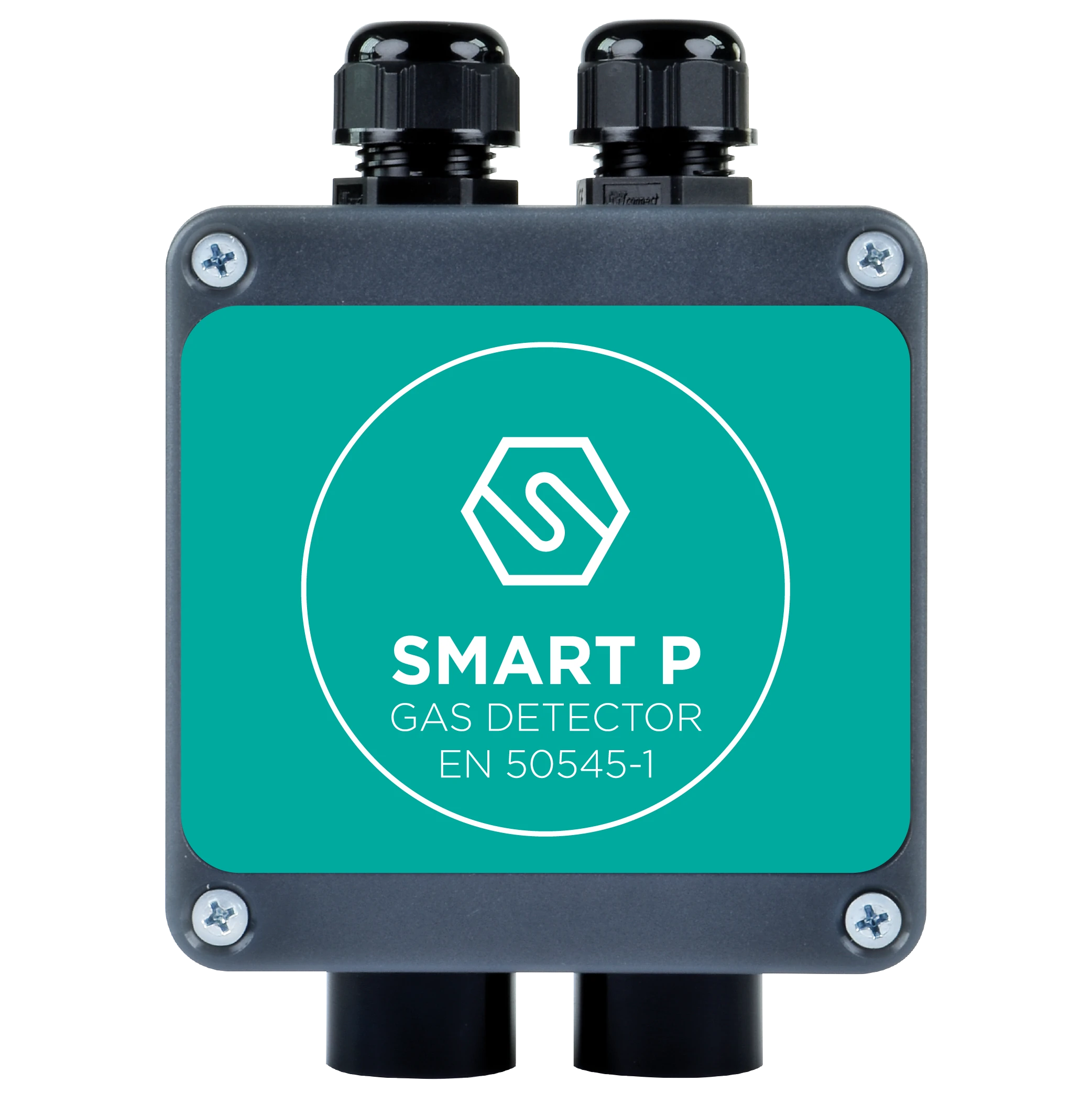 SMART P fixed gas detection product image